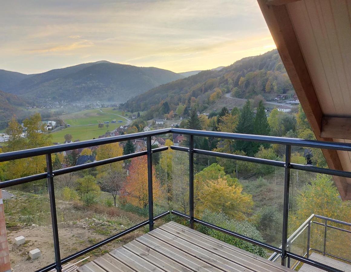 Au Chalet De Jo Muhlbach-sur-Munster 외부 사진