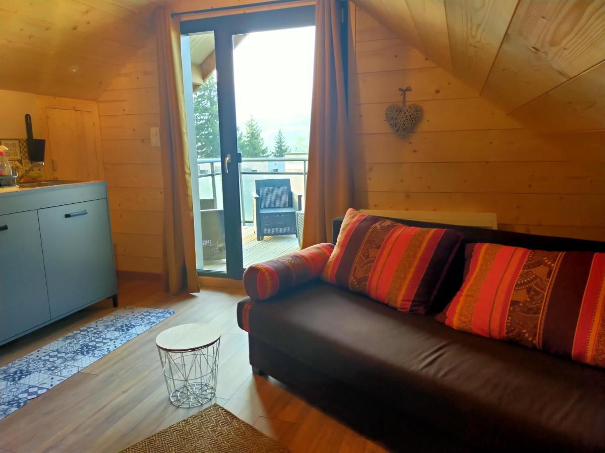 Au Chalet De Jo Muhlbach-sur-Munster 외부 사진