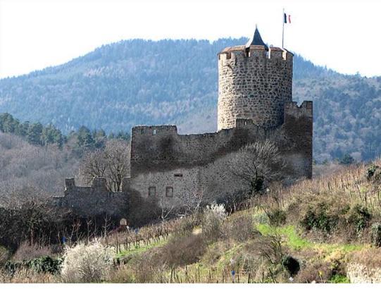 Au Chalet De Jo Muhlbach-sur-Munster 외부 사진