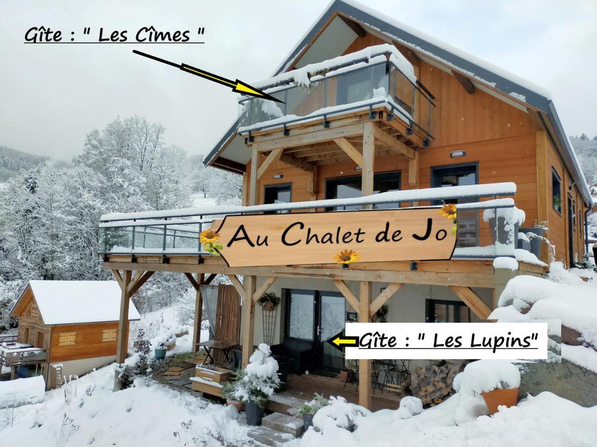 Au Chalet De Jo Muhlbach-sur-Munster 외부 사진